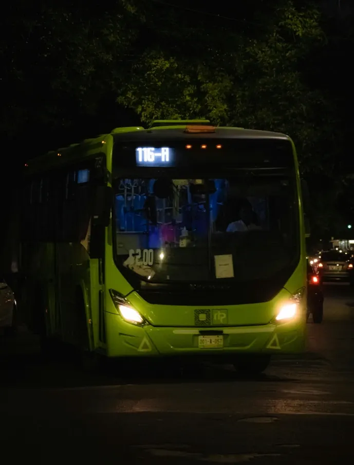 Passenger Transport